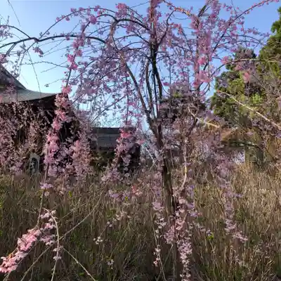 雲昌寺(秋田県)