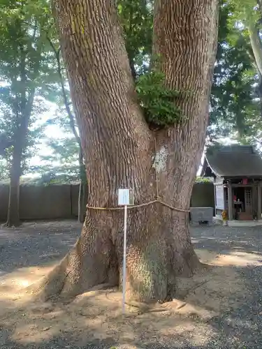 三島八幡神社(福島県)