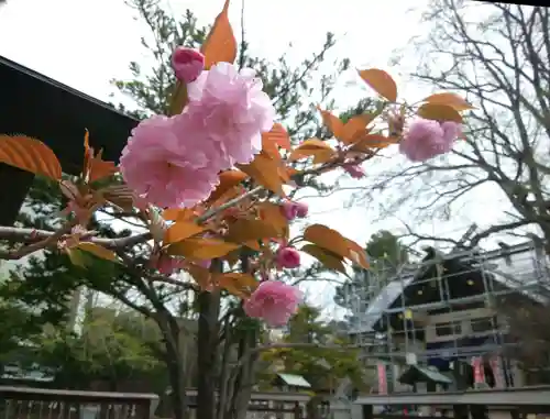 豊平神社の自然