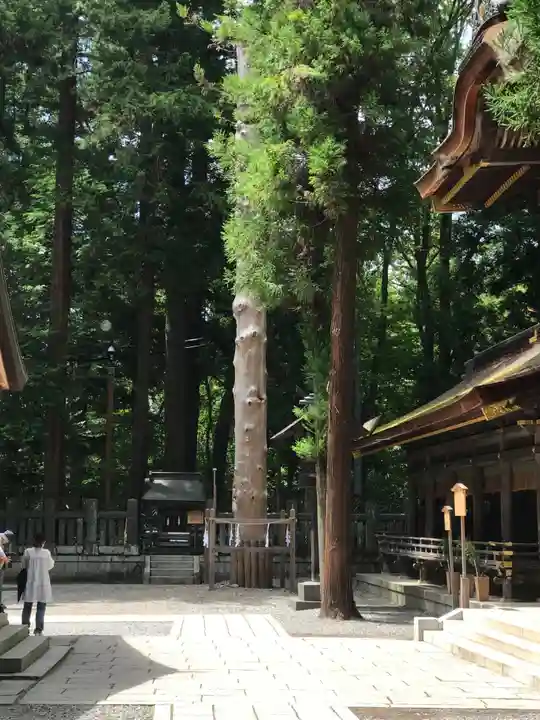 諏訪大社下社春宮(長野県)