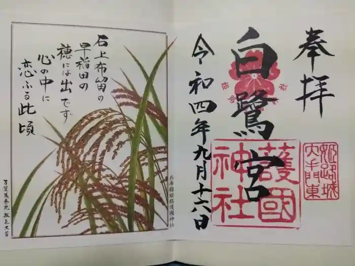 兵庫縣姫路護國神社の御朱印