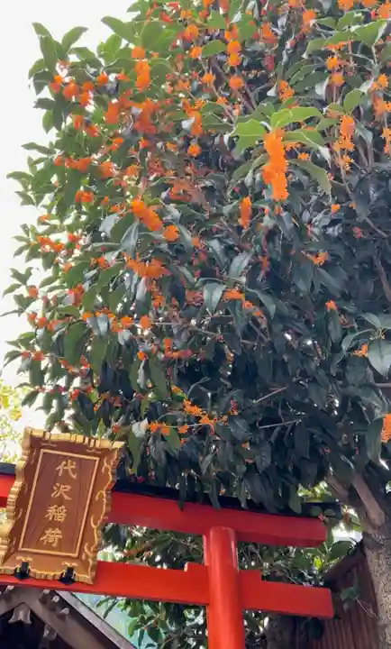 代沢稲荷(東京都)