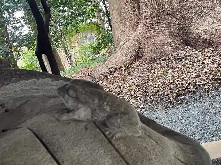 五所八幡宮の手水舎