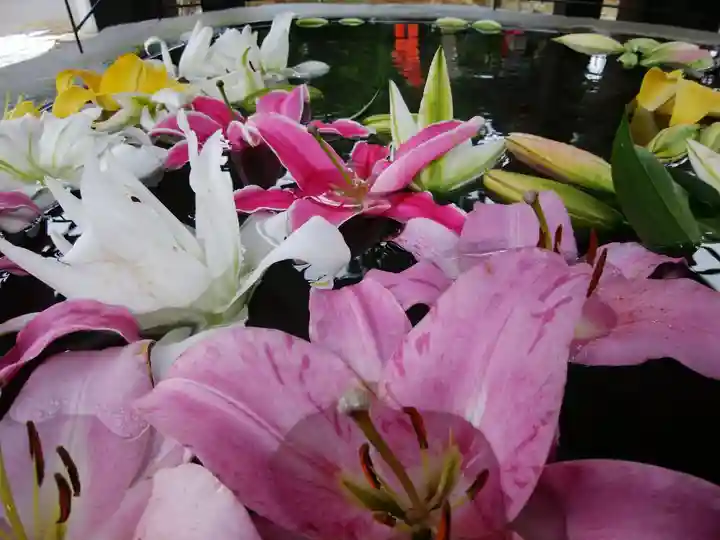 白老八幡神社の手水舎