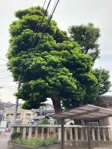 日枝神社(千葉県)