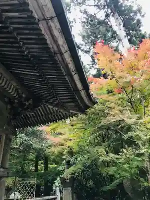 円通院の本殿・本堂