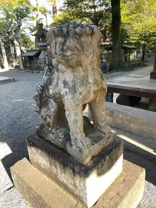 八坂神社の狛犬