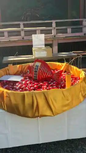 川越氷川神社(埼玉県)
