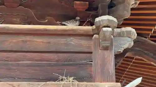 今宮坊(埼玉県)