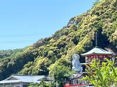 朝護孫子寺(奈良県)