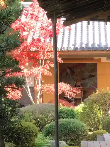 隨心院（随心院）のその他建物