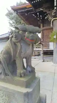八幡橋八幡神社の狛犬