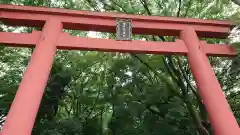 世田谷八幡宮の鳥居