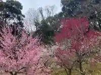 岩津天満宮(愛知県)