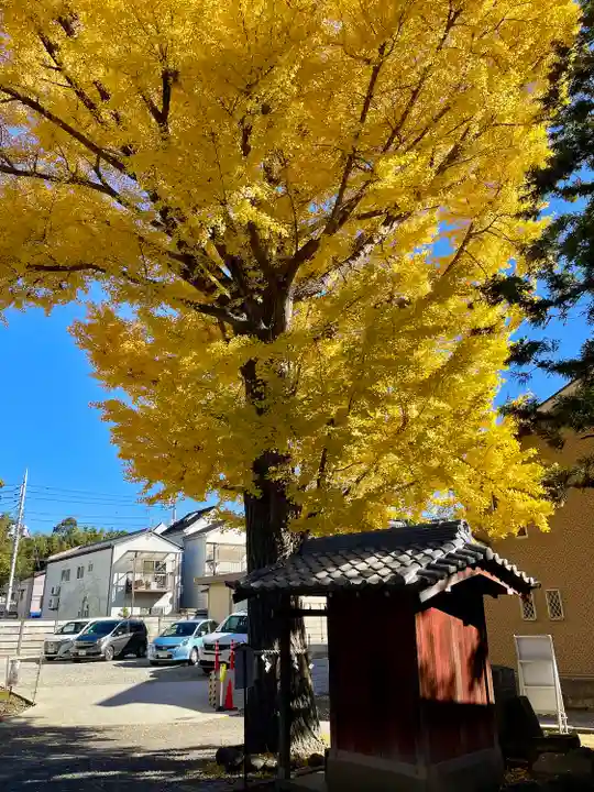 取手八坂神社(茨城県)