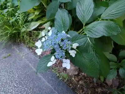 出町妙音堂(京都府)