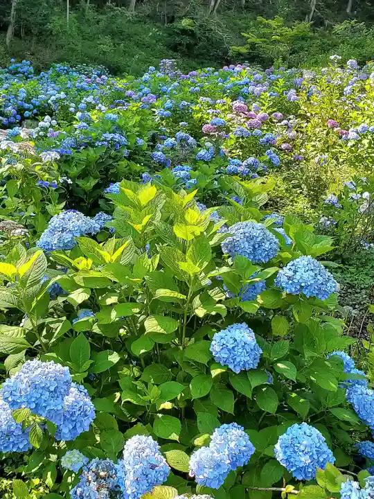 陽林寺(福島県)