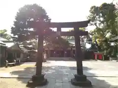 品川神社の鳥居