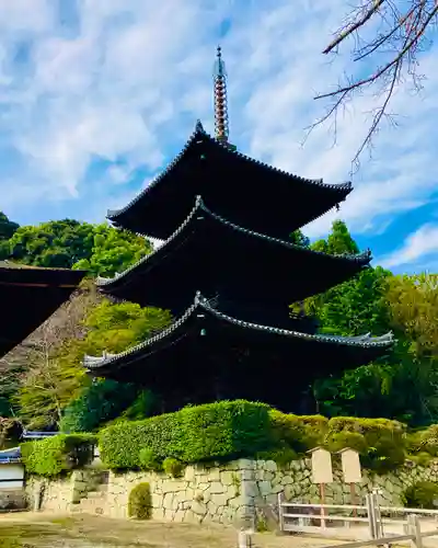 園城寺（三井寺）の建物その他