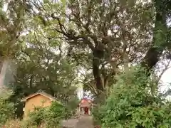 熊野神社(鹿児島県)