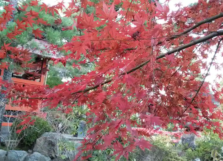 高幡不動尊 金剛寺の自然