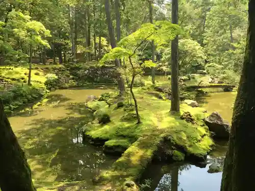 西芳寺の庭園