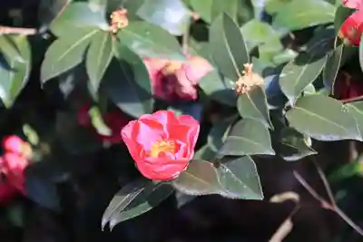 愛宕神社の自然