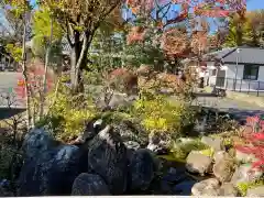 祥應寺の庭園