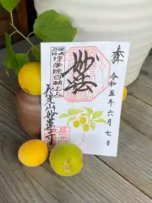 妙蓮寺(神奈川県)