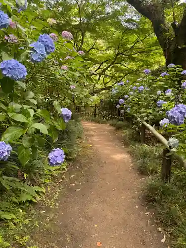 矢田寺(奈良県)