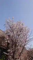 相馬神社の自然