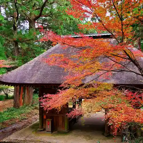 財賀寺の山門・神門