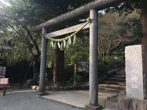 葛原岡神社の鳥居