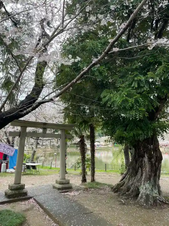 厳島神社 谷弁財天の{uncategorized: "未分類", other: "その他", undefined: "問題あり", building: "その他建物", grave: "お墓", sacred_gate: "鳥居", guardian: "狛犬", statue: "像", buddha: "仏像", history: "歴史", nature: "自然", garden: "庭園", animal: "動物", pagoda: "塔", temizu: "手水舎", mountain_gate: "山門・神門", sanctuary: "本殿・本堂", subordinate: "末社・摂社", art: "芸術", scenery: "景色", jizo: "地蔵", ema: "絵馬", goshuin: "御朱印", omikuji: "おみくじ", items: "授与品その他", amulet: "お守り", goshuincho: "御朱印帳", eats: "食事", festival: "お祭り", votive_dance: "神楽", shichigosan: "七五三参", wedding: "結婚式", experience: "体験その他", initially: "初詣", around: "周辺", anti_infection: "感染症対策"}