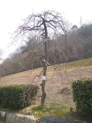 神前神社の自然