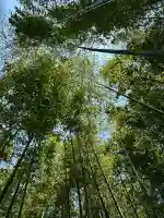 雲昌寺の{uncategorized: "未分類", other: "その他", undefined: "問題あり", building: "その他建物", grave: "お墓", sacred_gate: "鳥居", guardian: "狛犬", statue: "像", buddha: "仏像", history: "歴史", nature: "自然", garden: "庭園", animal: "動物", pagoda: "塔", temizu: "手水舎", mountain_gate: "山門・神門", sanctuary: "本殿・本堂", subordinate: "末社・摂社", art: "芸術", scenery: "景色", jizo: "地蔵", ema: "絵馬", goshuin: "御朱印", omikuji: "おみくじ", items: "授与品その他", amulet: "お守り", goshuincho: "御朱印帳", eats: "食事", festival: "お祭り", votive_dance: "神楽", shichigosan: "七五三参", wedding: "結婚式", experience: "体験その他", initially: "初詣", around: "周辺", anti_infection: "感染症対策"}