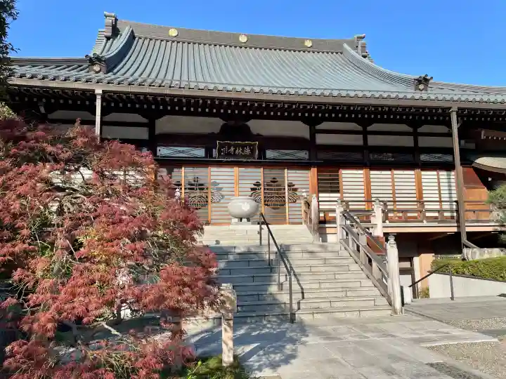 徳林寺の{uncategorized: "未分類", other: "その他", undefined: "問題あり", building: "その他建物", grave: "お墓", sacred_gate: "鳥居", guardian: "狛犬", statue: "像", buddha: "仏像", history: "歴史", nature: "自然", garden: "庭園", animal: "動物", pagoda: "塔", temizu: "手水舎", mountain_gate: "山門・神門", sanctuary: "本殿・本堂", subordinate: "末社・摂社", art: "芸術", scenery: "景色", jizo: "地蔵", ema: "絵馬", goshuin: "御朱印", omikuji: "おみくじ", items: "授与品その他", amulet: "お守り", goshuincho: "御朱印帳", eats: "食事", festival: "お祭り", votive_dance: "神楽", shichigosan: "七五三参", wedding: "結婚式", experience: "体験その他", initially: "初詣", around: "周辺", anti_infection: "感染症対策"}
