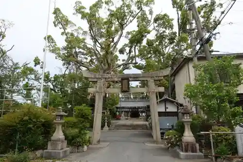 羽束師坐高御産日神社の鳥居