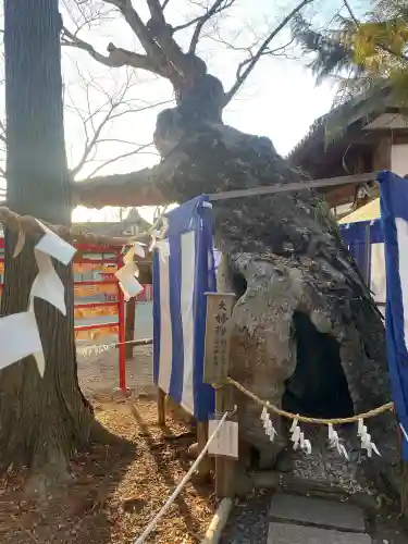 生島足島神社(長野県)
