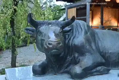 布多天神社(東京都)