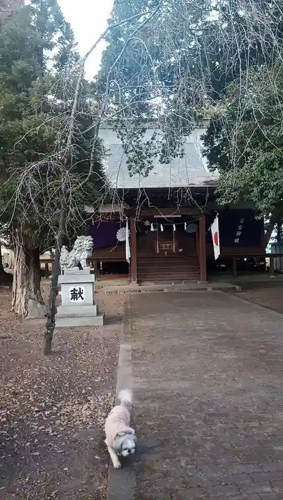若宮神社の本殿・本堂