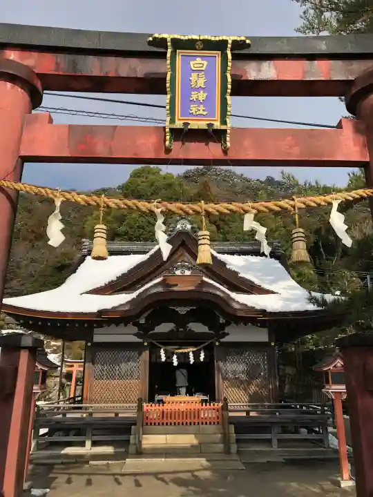 白鬚神社の{uncategorized: "未分類", other: "その他", undefined: "問題あり", building: "その他建物", grave: "お墓", sacred_gate: "鳥居", guardian: "狛犬", statue: "像", buddha: "仏像", history: "歴史", nature: "自然", garden: "庭園", animal: "動物", pagoda: "塔", temizu: "手水舎", mountain_gate: "山門・神門", sanctuary: "本殿・本堂", subordinate: "末社・摂社", art: "芸術", scenery: "景色", jizo: "地蔵", ema: "絵馬", goshuin: "御朱印", omikuji: "おみくじ", items: "授与品その他", amulet: "お守り", goshuincho: "御朱印帳", eats: "食事", festival: "お祭り", votive_dance: "神楽", shichigosan: "七五三参", wedding: "結婚式", experience: "体験その他", initially: "初詣", around: "周辺", anti_infection: "感染症対策"}