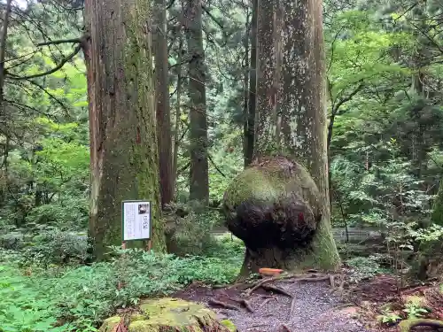 花園神社(茨城県)