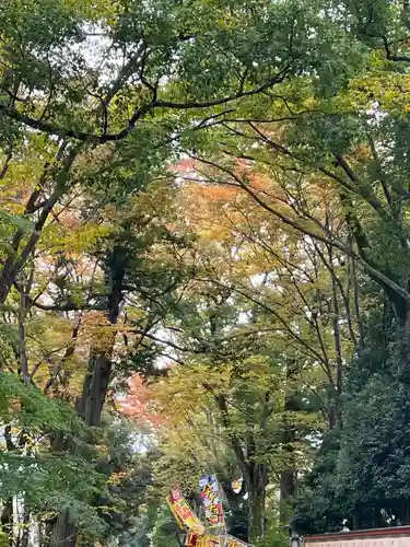 武蔵一宮氷川神社(埼玉県)