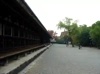 蓮華王院(三十三間堂)の本殿・本堂