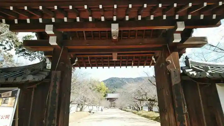醍醐寺(京都府)