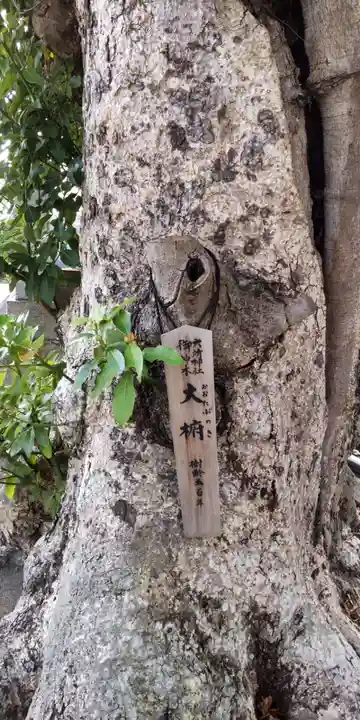 相模国総社六所神社(神奈川県)