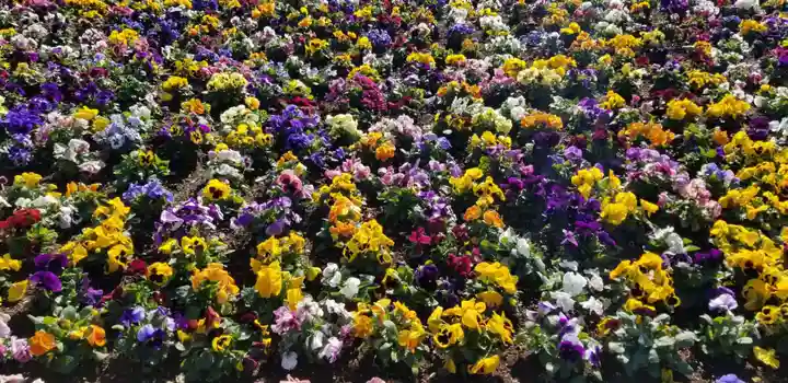 総寧寺(千葉県)