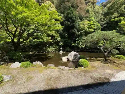 知恩院の{uncategorized: "未分類", other: "その他", undefined: "問題あり", building: "その他建物", grave: "お墓", sacred_gate: "鳥居", guardian: "狛犬", statue: "像", buddha: "仏像", history: "歴史", nature: "自然", garden: "庭園", animal: "動物", pagoda: "塔", temizu: "手水舎", mountain_gate: "山門・神門", sanctuary: "本殿・本堂", subordinate: "末社・摂社", art: "芸術", scenery: "景色", jizo: "地蔵", ema: "絵馬", goshuin: "御朱印", omikuji: "おみくじ", items: "授与品その他", amulet: "お守り", goshuincho: "御朱印帳", eats: "食事", festival: "お祭り", votive_dance: "神楽", shichigosan: "七五三参", wedding: "結婚式", experience: "体験その他", initially: "初詣", around: "周辺", anti_infection: "感染症対策"}