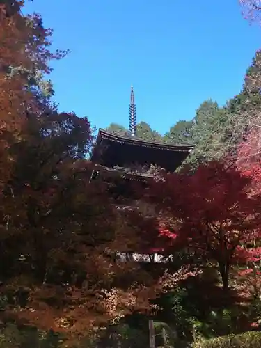 金剛輪寺の建物その他